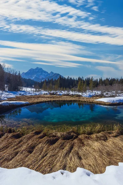 Winterlandschaft Zelenci Slowenien — Stockfoto