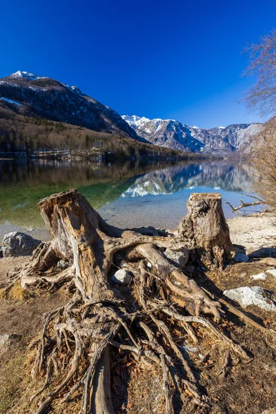Lake Bohinjsko Triglav National Park Slovenia — Stock Photo, Image