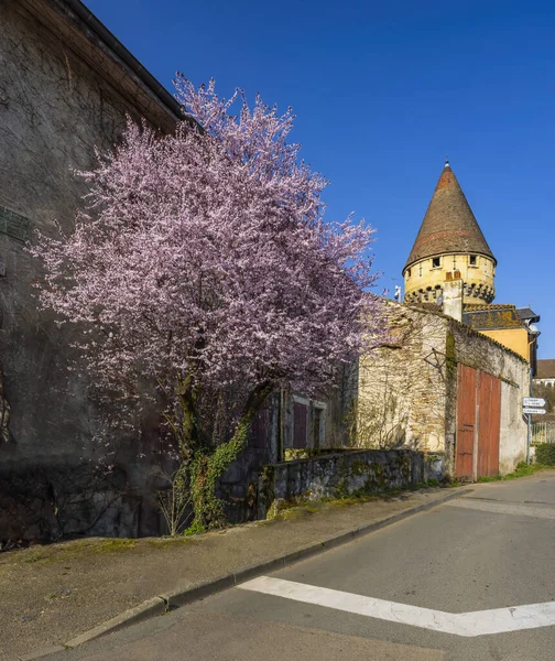 Abbaye Bénédictine Cluny Département Saone Loire Région Bourgogne France — Photo