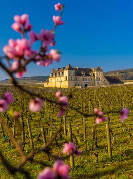 Clos Vougeot Castle Cote Nuits Burgundy France — Stock Photo, Image
