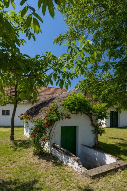 Poysdorf, Aşağı Avusturya yakınlarındaki Ketzelsdorf 'ta geleneksel şarap mahzeni caddesi (kellergasse)