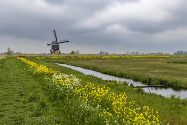 Windmill Broekmolen Molenlanden Nieuwpoort Netherlands — Foto Stock