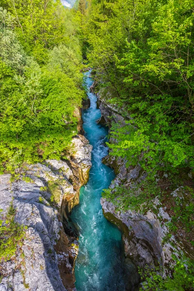 Gran Garganta Soca Velika Korita Soce Parque Nacional Triglavski Eslovenia — Foto de Stock