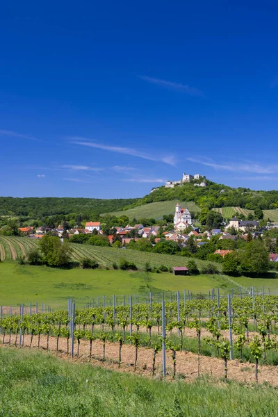 ファルケンシュタイン遺跡とブドウ畑の町 下オーストリア オーストリア — ストック写真