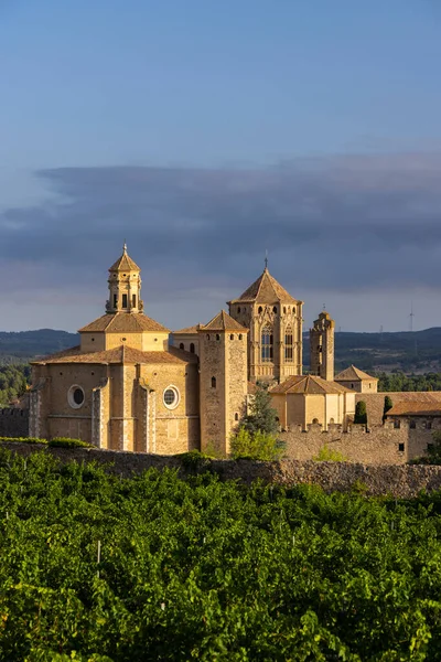 Royal Abbey Santa Maria Poblet Cistercian Monastery Catalonia Spain — стокове фото