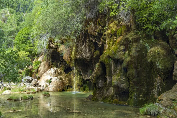スペイン カスティージャ マンチャ州 クエンカの川Cuervo Nacimiento Del Rio Cuervo — ストック写真