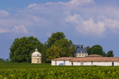 Chateau LaTour, Bordeaux, Aquitaine, Fransa yakınlarındaki tipik üzüm bağları
