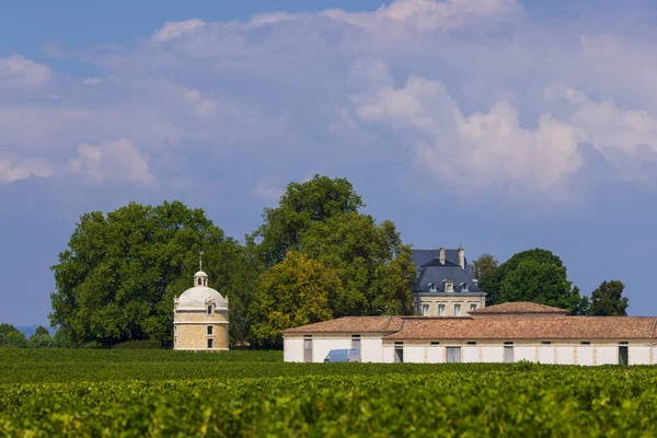 法国阿基坦波尔多Chateau Latour附近典型的葡萄园 — 图库照片
