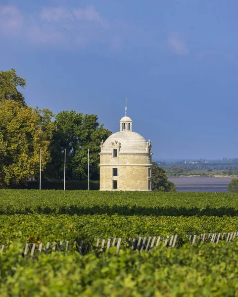 Typical Vineyards Chateau Latour Bordeaux Aquitaine France — Stock Photo, Image