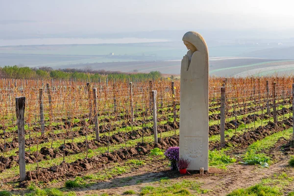 Staty Saint Agnes Med Vingårdar Nära Palvov Södra Mähren Tjeckien — Stockfoto