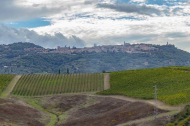 Montalcino, Toskana, İtalya yakınlarındaki üzüm bağlarıyla tipik Toskana manzarası