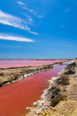 Camargue bölgesindeki Salin de Giraud, Provence, Fransa