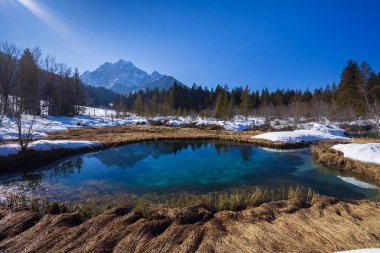 Slovenya 'nın Zelenci kentindeki kış manzarası