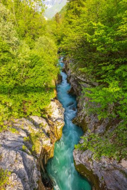 Great Soca Gorge (Velika korita Soce), Triglavski Ulusal Parkı, Slovenya