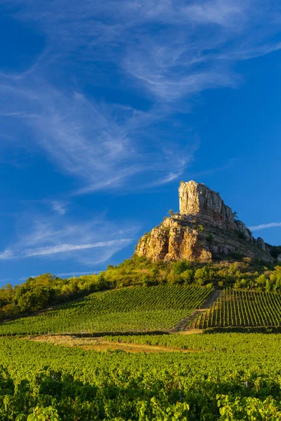 Üzüm Bağı Olan Solutre Kayası Burgundy Solutre Pouilly Fransa — Stok fotoğraf