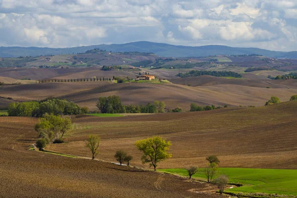 Typisch Toscaans Landschap Vlakbij Siena Toscane Italië — Stockfoto