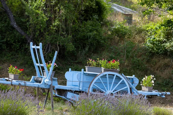 Niebieski Drewniany Wózek Lawendą Prowansji Francja — Zdjęcie stockowe
