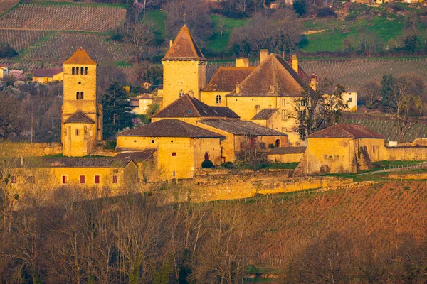 Chateau Pierreclos Slott Departementet Saone Loire Bourgogne Frankrike — Stockfoto