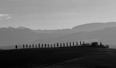 Tipik Toskana sonbahar sabahı manzarası, Val D 'Orcia, Toskana, İtalya