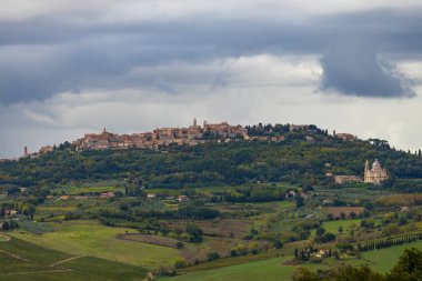 Montalcino, Toskana, İtalya yakınlarındaki üzüm bağlarıyla tipik Toskana manzarası
