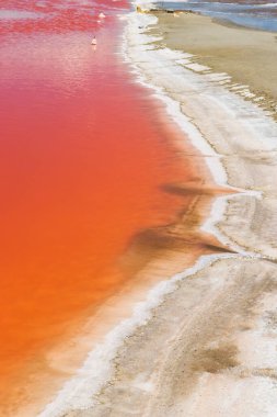 Camargue bölgesindeki Salin de Giraud, Provence, Fransa