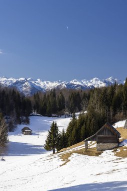 Typical wooden log cabins in Gorjuse, Triglavski national park, Slovenia