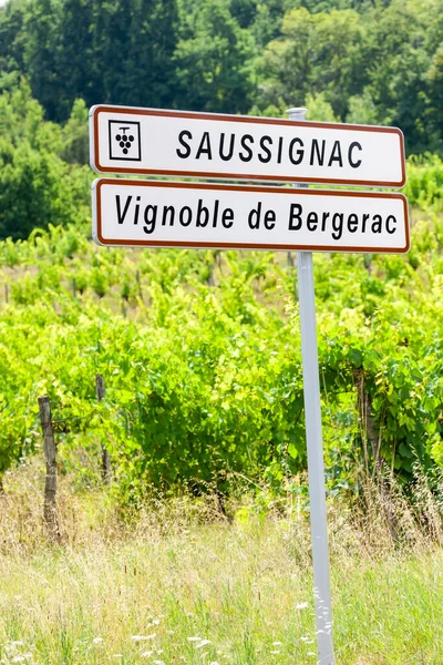 Vingård Saussignac Bergerac Dordogne Deparment Frankrike — Stockfoto