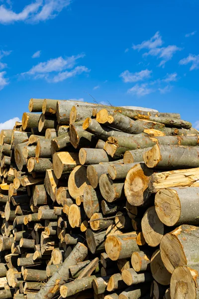 Wooden Logs Open Air — Stock Photo, Image