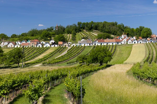 Traditional Wine Cellars Vineyard Galgenberg Wildendurnbach Lower Austria Austria — Stock Photo, Image
