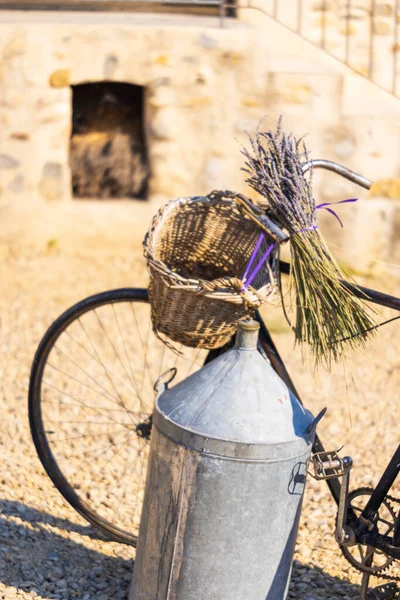 法国普罗旺斯仍有骑自行车的生活 — 图库照片