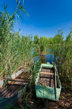 landscape of Tisza in Hungary