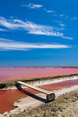 Camargue bölgesindeki Salin de Giraud, Provence, Fransa