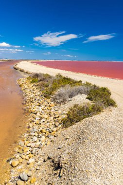 Camargue bölgesindeki Salin de Giraud, Provence, Fransa