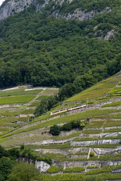 スイスのカントン ヴォー州エイグル近郊のブドウ畑の間を走る列車 — ストック写真