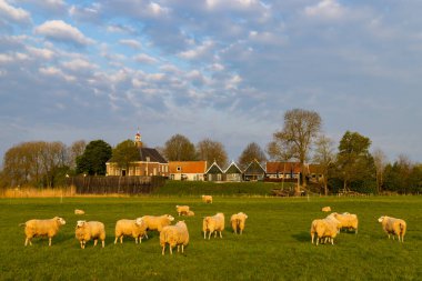 Eski Schokland Adası, UNESCO Dünya Mirası Alanı, Hollanda