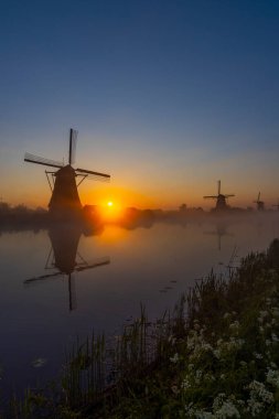 Hollanda 'nın Kinderdijk şehrinde güneş doğmadan hemen önce renkli gökyüzü olan geleneksel Hollanda yel değirmenleri
