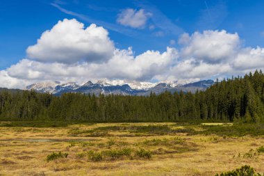 Slovenya 'daki Triglavski ulusal parkında manzara