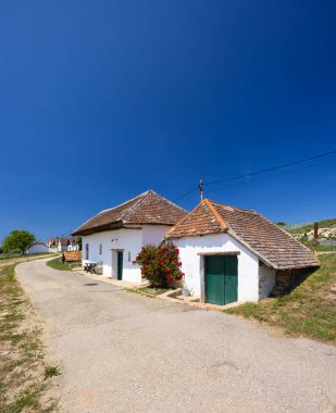 Mailberg, Aşağı Avusturya, Avusturya yakınlarındaki Diepolz 'da geleneksel şarap mahzeni caddesi