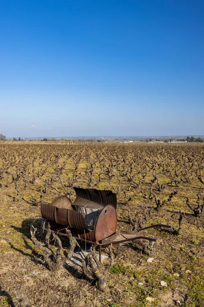 Spring Vineyards Rully Burgundy France — стоковое фото