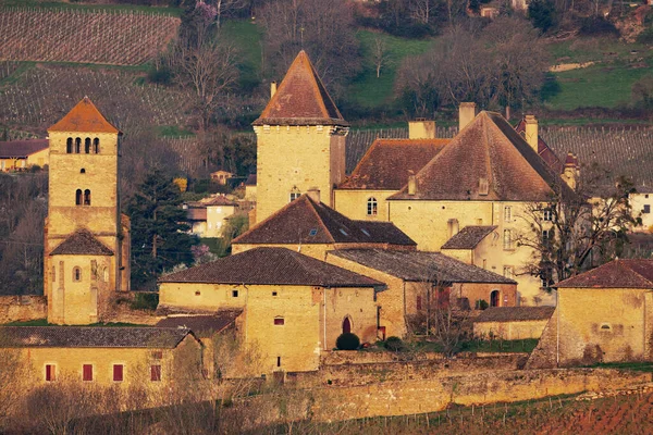 Chateau Pierreclos Castle Saone Loire Departement Burgundy France — Stock Photo, Image