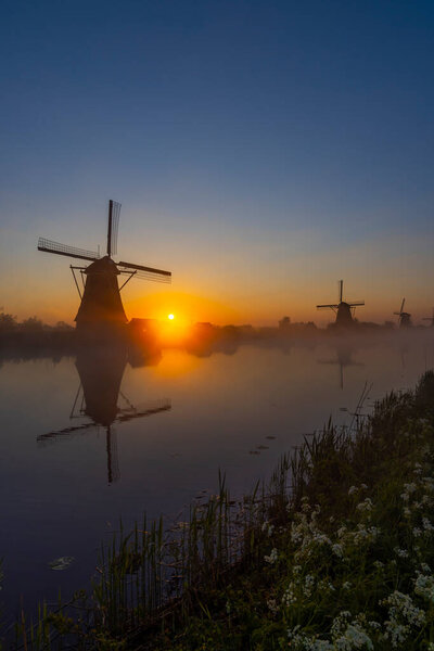 Traditional Dutch windmills with a colourful sky just before sunrise in Kinderdijk, The Netherlands