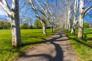 Straznice, Güney Moravya, Çek Cumhuriyeti 'ndeki Castle Park' taki uçak yolu.