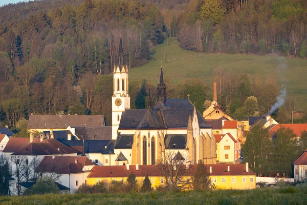 チェコ共和国南ボヘミアのヴィシー ブロド シトー会修道院 — ストック写真