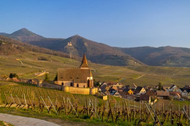 Ribeauville, Alsace, Fransa yakınlarında şato harabeleri olan Hunawihr köyü