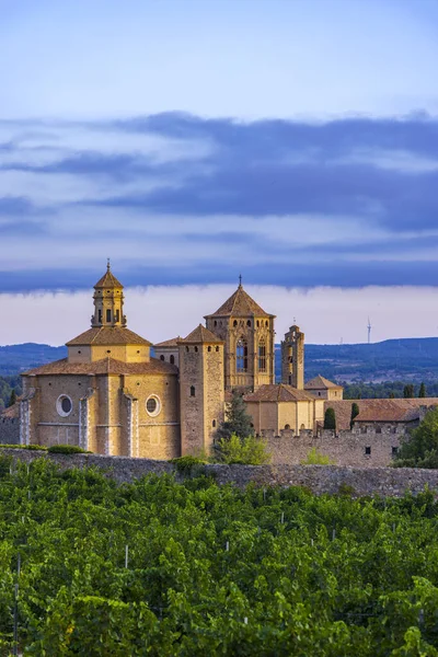 Abadia Real Santa Maria Poblet Mosteiro Cisterciense Catalunha Espanha — Fotografia de Stock
