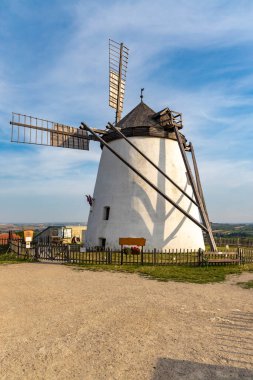 Windmill Retz yakınlarındaki üzüm bağı, Aşağı Avusturya, Avusturya