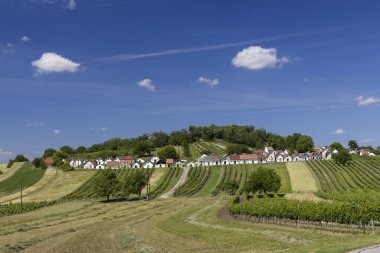 Traditional wine cellars with vineyard in Galgenberg near Wildendurnbach, Lower Austria, Austria