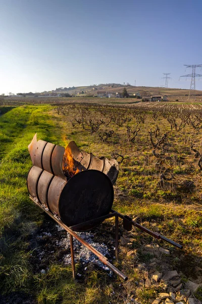 Spring Vineyards Givry Burgundy France —  Fotos de Stock