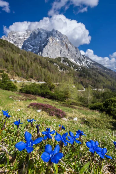 Landskap Nära Vrsic Triglavski Nationalpark Slovenien — Stockfoto