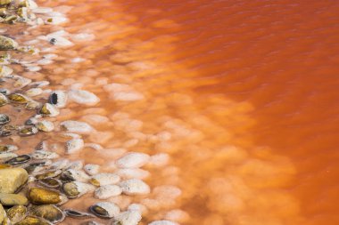 Camargue bölgesindeki Salin de Giraud, Provence, Fransa